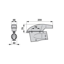 Műtrágyacsoroszlya